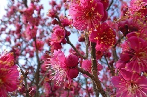 Nazirlikdən xəbərdarlıq- Bayram günü hava...