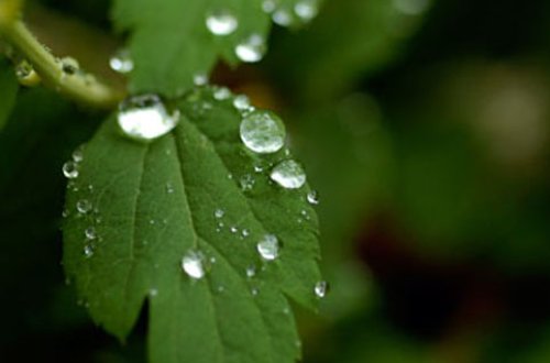 İyunun ilk gününün havası