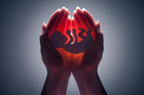 Azərbaycanda abortun və süni mayalanmanın reklamı qadağan olunub