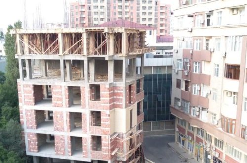 Məktəbli qız ağsaqqallara və ziyalılara müraciət etdi