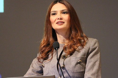 Paşayeva soydaşlarımızı bu deputatı ifşa etməyə çağırdı