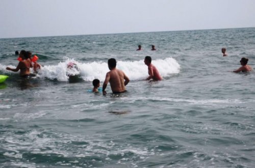 Bu çimərliklərdə gürzələr var - XƏBƏRDARLIQ