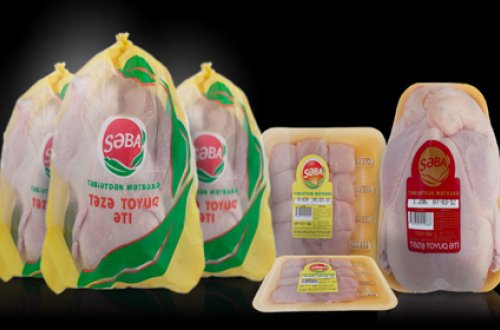 “Səba” toyuqları təhlükəlidir!