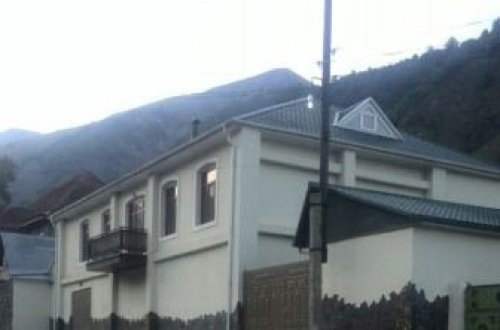 Zaqatala icra başçısının İlisudakı dəbdəbəli villası və Almaniyadan gətizdirdiyi itlər - FOTOLAR