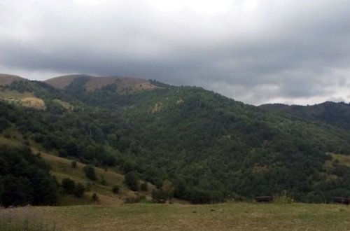 Ermənilərin atəşə tutduğu kəndə dəyən zərər müəyyənləşdi - FOTO