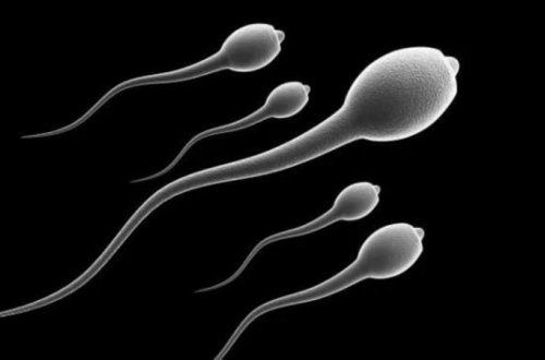 Kişi spermalarında 2 il yaşayan virus - DİQQƏTLİ OLUN