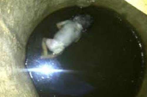 Nəvəsini öldürən nənəni hansı cəza gözləyir?