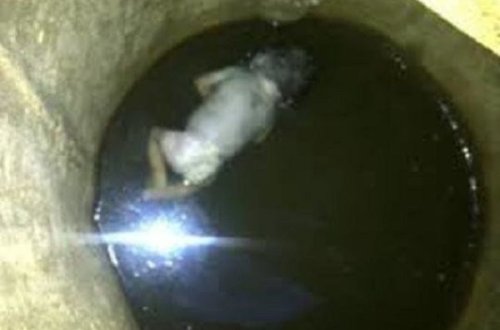 Lənkəranda 6 günlük nəvəsini öldürərək quyuya atan nənə həbs olundu