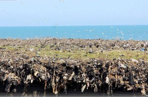 Xəzərin İran sahilləri ekoloji təhlükə altındadır – FOTO
