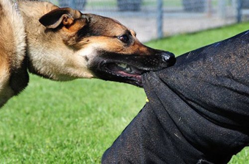 Quduzluq haqda bilmədiyiniz faktlar: Nə etmək lazımdır?