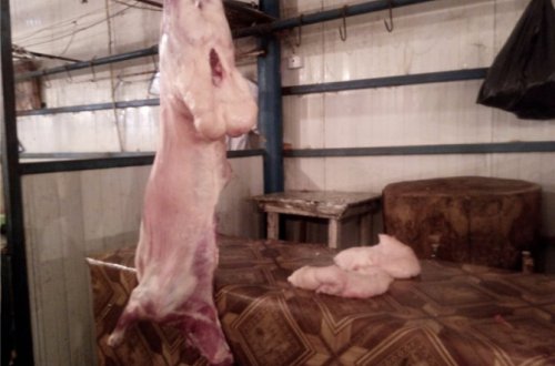 Qurban bayramı ərəfəsi ət bahalaşa bilər