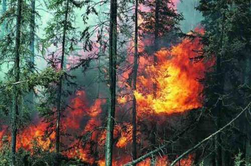 Şahdağ Millli Parkındakı yanğın söndürülüb - Yenilənib
