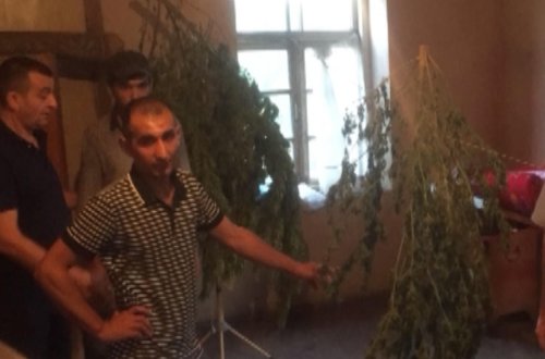 Sabirabadda əməliyyat - 100 kq-a yaxın narkotik tapıldı - FOTO