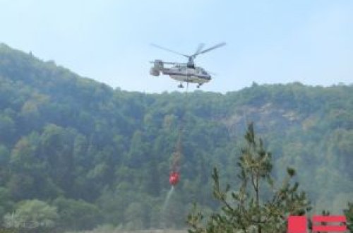 Oğuz və Qəbələdə meşə zolağında yanğın olub, yanğının söndürülməsinə helikopter cəlb edilib