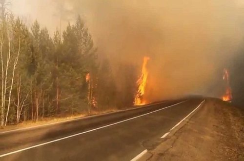 Qəbələdə meşə yanır