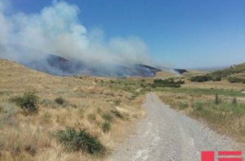 Oğuzda meşə yanır