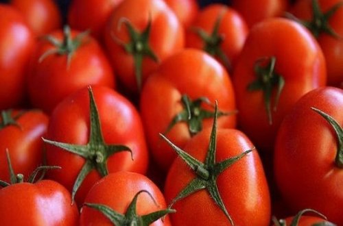 Pomidorla bağlı əhaliyə mühüm xəbər