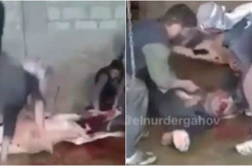 Qurban kəsərkən FACİƏVİ HADİSƏ: Kişinin görün harası PARTLADI (+18 VİDEO)