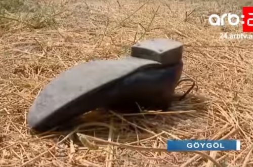 Gəncədə DƏHŞƏT: ər arvadının qulağını kəsib bıçaqladı - VİDEO