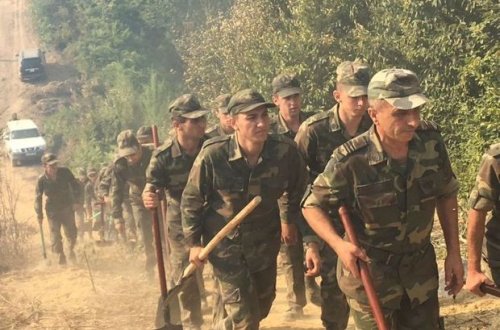 Hava şəraiti Qəbələdə yanğının söndürülməsində çətinlik yaradır – FOTO