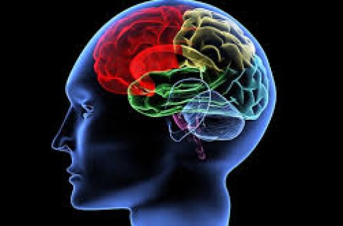 Azərbaycanda yeni sayt fəaliyyətə başlayıb