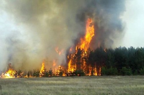 Daşkəsəndə mədən ərazisində yanğın