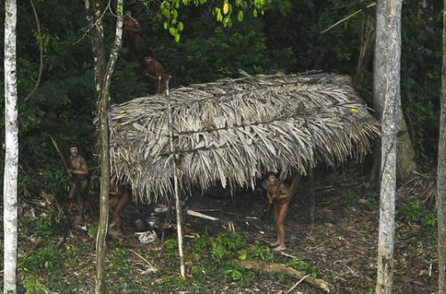 Qızıl axtaranlar 10 hindunu öldürüblər