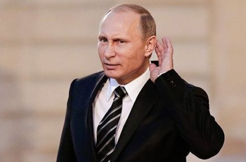 Alman jurnalı “it” zarafatına görə üzr istədi