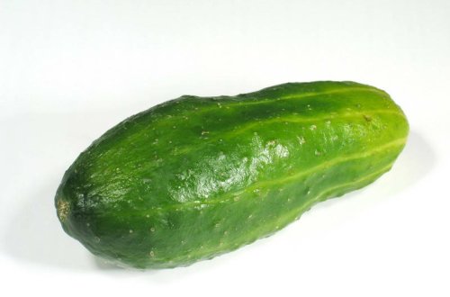 Qızların eyvanına xiyara bükülmüş cinsi məzmunlu məktub və şəkillər atdılar - VİDEO