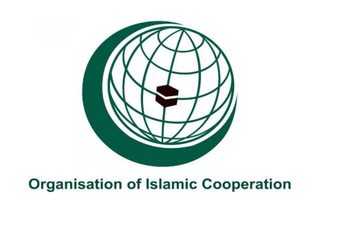 İslam Əməkdaşlıq Təşkilatı BMT-də Ermənistanın Azərbaycana qarşı təcavüzündən danışdı