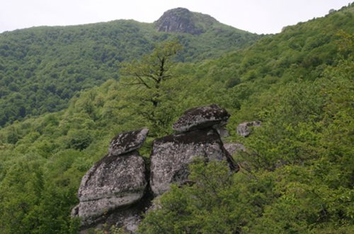 Valideynlərini öldürən şəxs meşədə gizlənir