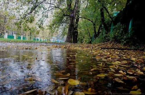 Sabah havanın temperaturu 10 dərəcəyə qədər enəcək – PROQNOZ