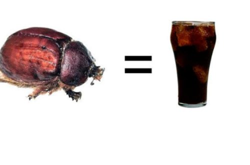 “Coca-Cola” içdikdən 10 dəqiqə sonra orqanizmdə NƏ BAŞ VERİR? - İNANMAYACAĞINIZ GERÇƏKLƏR