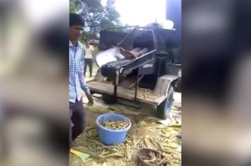 Fəhlə faciəvi şəkildə öldü - VİDEO