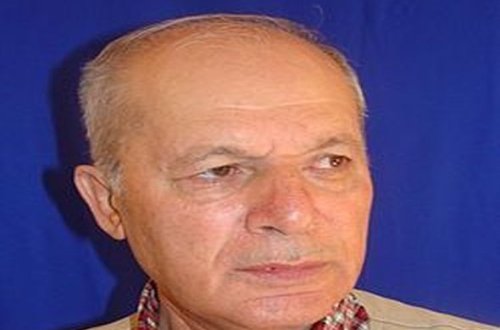 Ramiz Məlik Məleykə Əsədovadan üzr istədi
