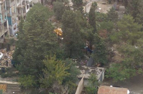 SON DƏQİQƏ: Yasamalda “yaşıl soyqırım” - Ağaclar belə məhv edilir - FOTOLAR/ VİDEO