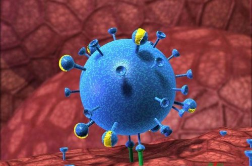 Azərbaycanda yeni virus yayılıb