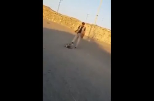 Yaşlı kişi iti TƏPİKLƏDİ, OLANLAR OLDU: Hüquq mühafizə orqanlarına... - VİDEO