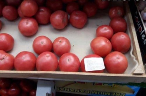 Azərbaycanlı Kəlbəcərdə yetişdirdiyi pomidoru Moskvada satır - Foto