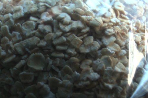 Azərbaycanda qerkulesin içindən qurd çıxdı - VİDEO