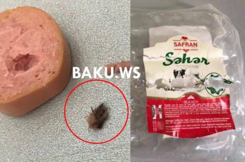 “Safran səhər” sosilərinin içindən görün nə çıxdı - FOTO