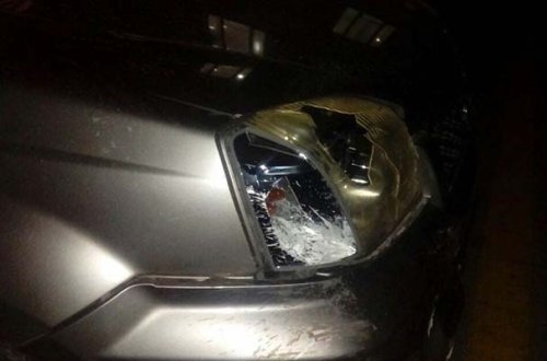 “Nissan” piyadanı keçiddə vurdu - Foto