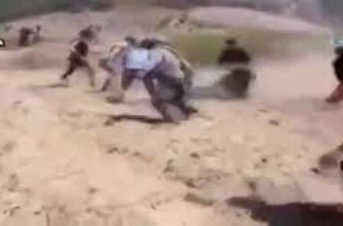 Ayı 2 peşmərgəni belə parçaladı - VİDEO