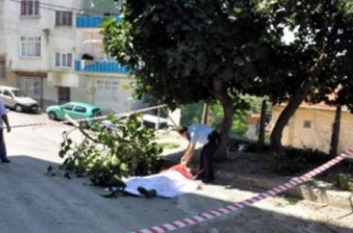 Oğuzda 50 yaşlı kişi ağacdan yıxılaraq ölüb