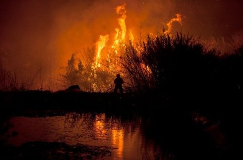 Portuqaliyada güclü yanğın - 35 ölü, 56 yaralı + Fotolar