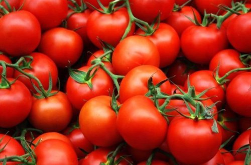 33 ton Azərbaycan pomidoru niyə geri qaytarıldı? — SƏBƏB
