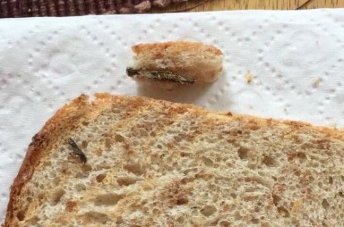 Bakıda çörəyin içindən taxta çıxdı – FOTO