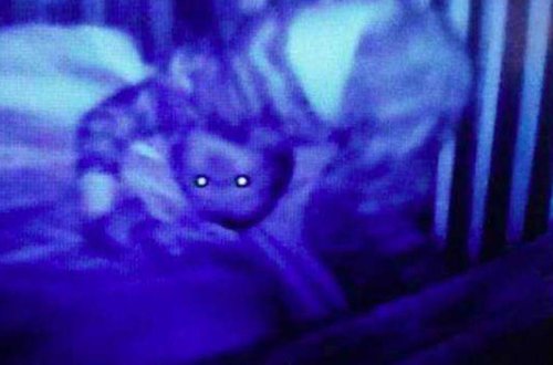 Uşağının otağına kamera yerləşdirən ailə gördüklərindən dəhşətə gəldi - FOTO