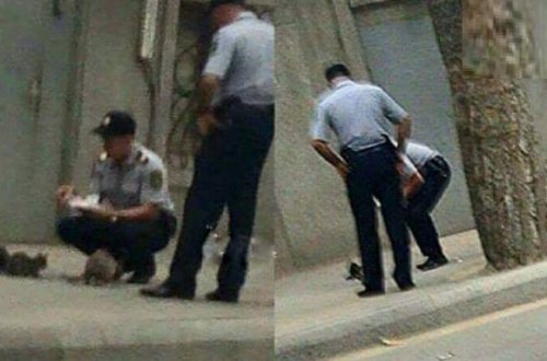 Azərbaycan polisi bu görüntülərlə dünya mediasında... - FOTO