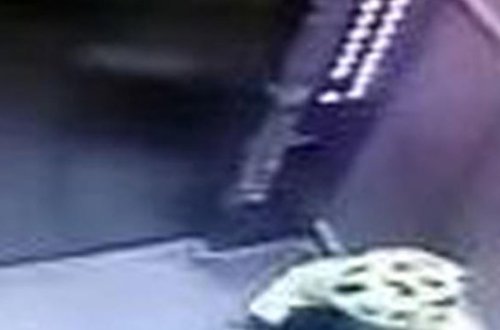 Liftdə müştərinin sifarişini yeyən kuryer işdən qovuldu - VİDEO - FOTO